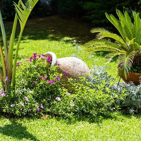 Polys Lefkada 2 Апартаменты *