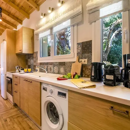 Polys Lefkada 2 公寓 *