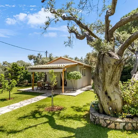 Polys Lefkada 2 Apartment Apolpaina