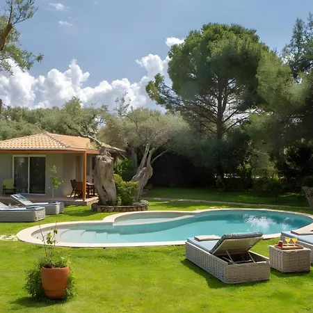 公寓 Polys Lefkada 2 Apolpaina